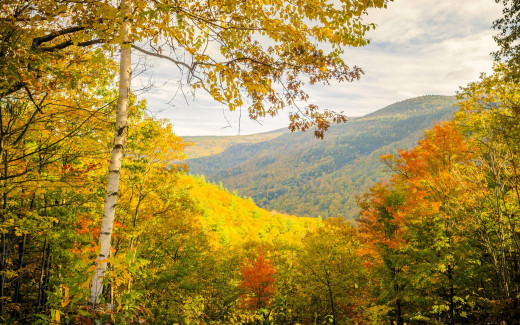 �1755679 �������(a): ����������:1920x1200